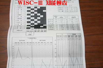 WISC-�V 知能検査